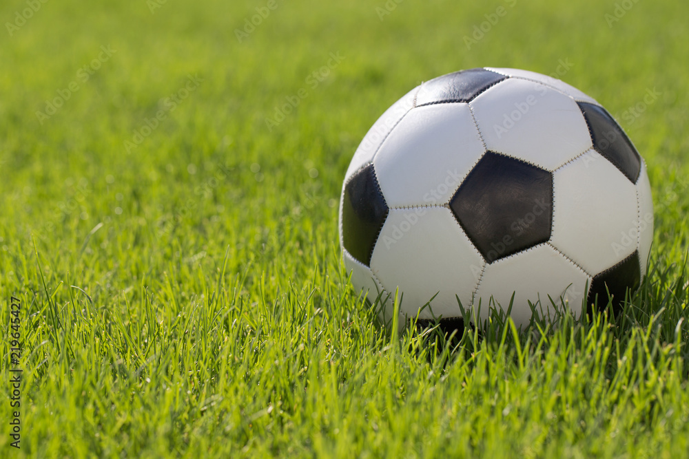 Fototapeta premium Traditional soccer ball on soccer field