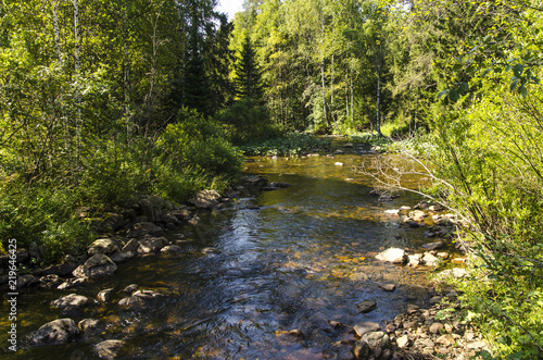 Small mountains creek