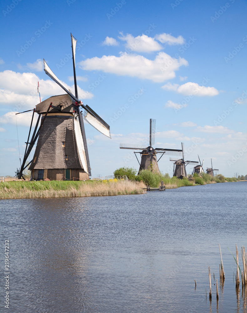 Naklejka premium Windmills