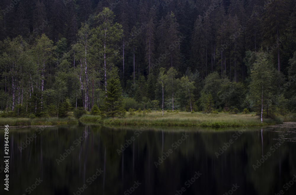 Blick auf den verschlafenen Ellbachsee, Knibis, Schwarzwald Blick auf den verschlafenen Ellbachsee, Knibis, Schwarzwald