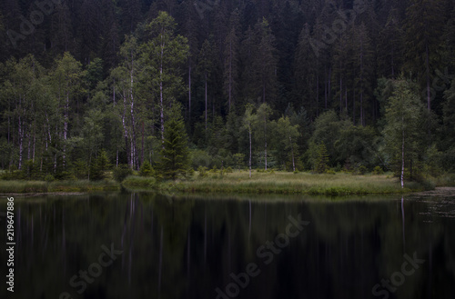 Blick auf den verschlafenen Ellbachsee, Knibis, Schwarzwald