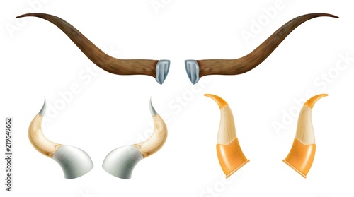 Set of horns of wild animals. Vessels for wine and alcohol on a white background. Vector illustration of nature objects for design