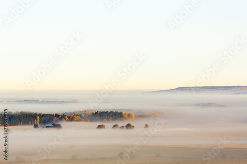 Morning fog over the plain with a forest with autumn colors