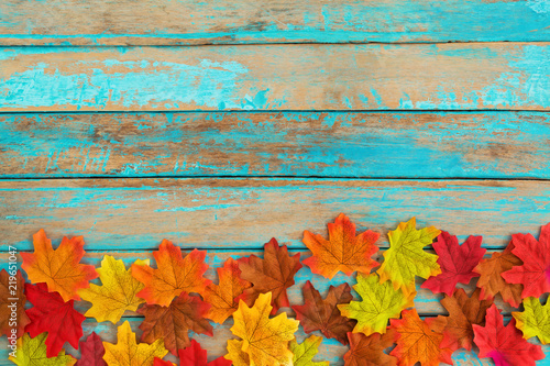 Beautiful autumn maple leaves background. nature fall season