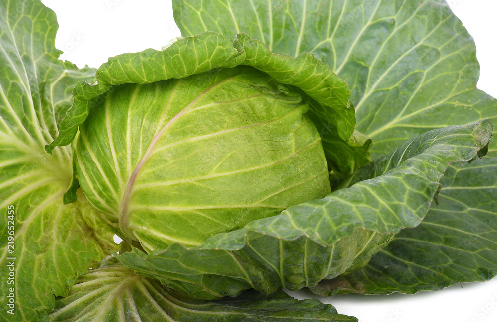 Green cabbage isolated on white background Green cabbage isolated on white background