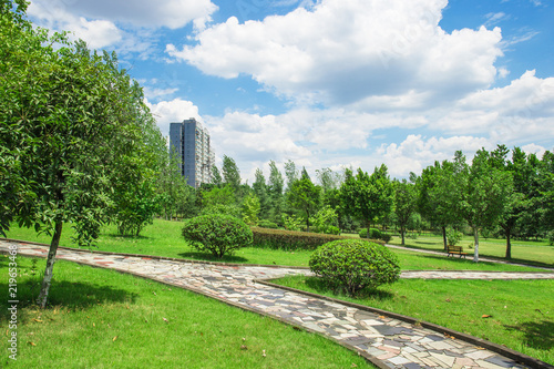 Fototapeta Naklejka Na Ścianę i Meble -  City park, green meadows and lush trees on a sunny summer day