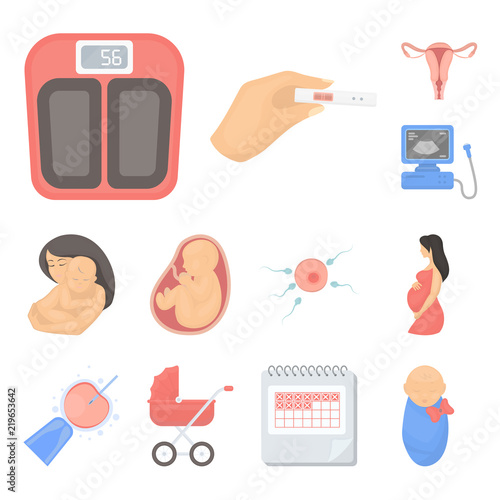 Woman and pregnancy cartoon icons in set collection for design. Gynecology and equipment vector symbol stock web illustration.
