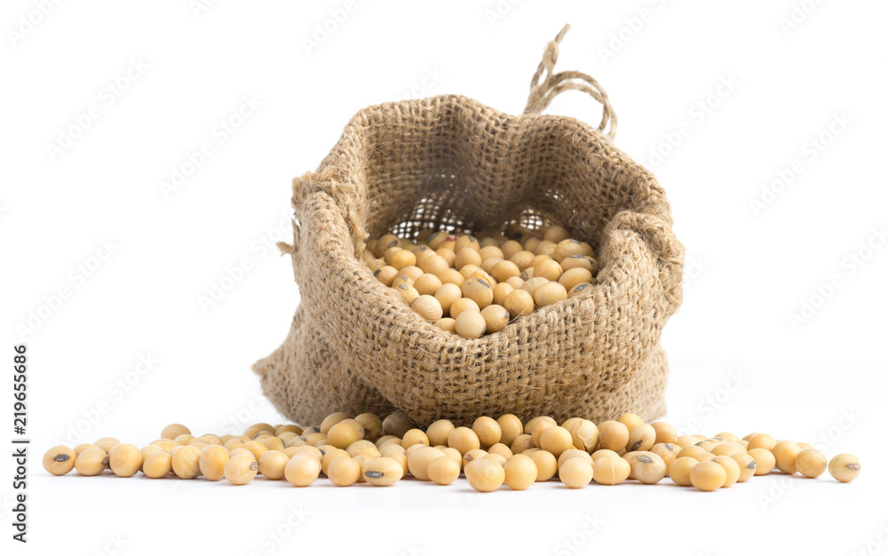 soybean in canvas sack on white