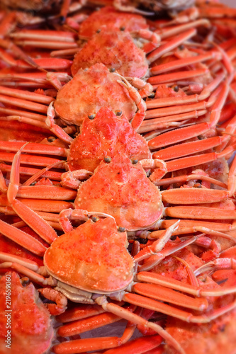 fresh delicious Japanese snow crab at Kinosaki onsen Japan
