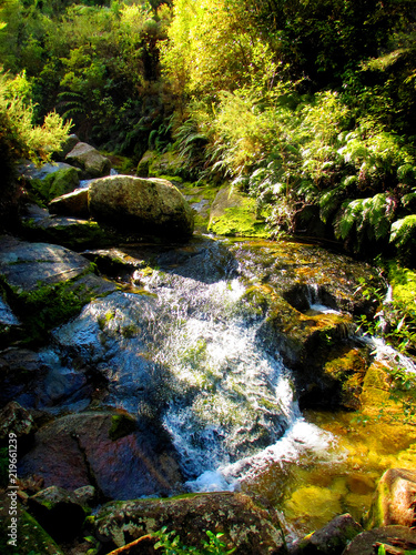 Beutiful rainforest waterfal cascading into a small pool. Taken in Abel Tasman National Park in New Zealand.