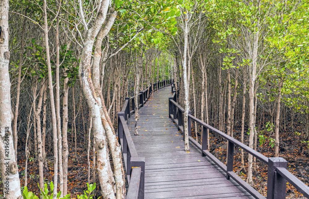 Wooden bridge the forest mangrove at Petchaburi, Thailand Wooden bridge the forest mangrove at Petchaburi, Thailand