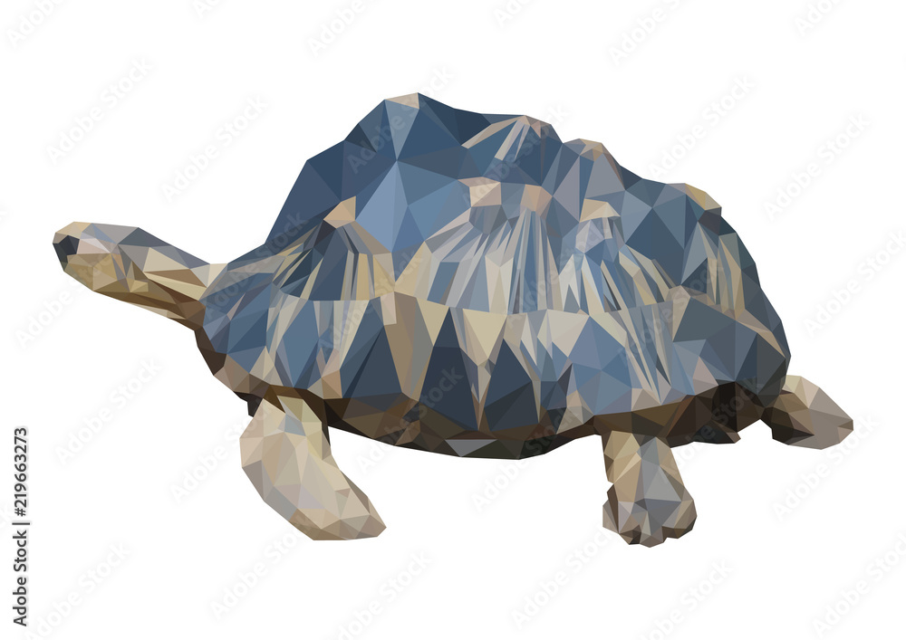 Obraz premium triangle polygonal turtle, geometric polygon reptile, isolated vector animal