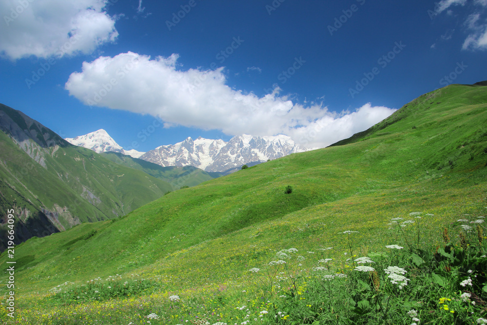 Alpine meadows at the foot of Shkhara glacier. Upper Svaneti, Georgia