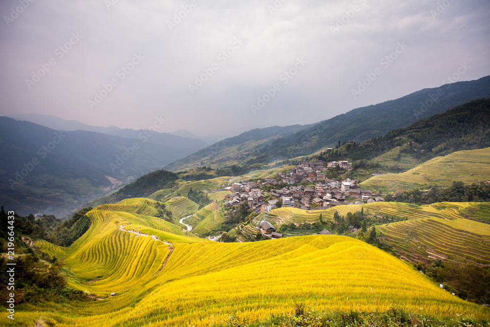 Rice terrace in Long Ji China