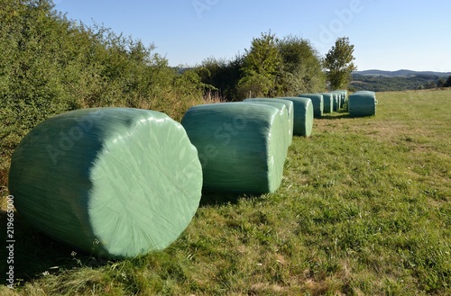 Fotografie Ballots de paille sous plastique