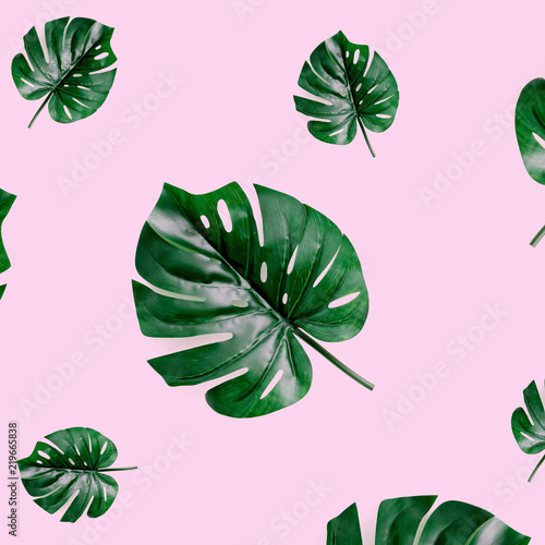 Leaves Monstera Top View Flat Lay Group Objects. Background Toned pink trend colors