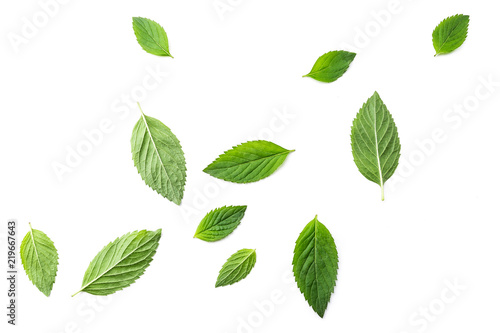 Flying mint leaves