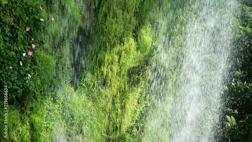 Giant huge Waterfall with background of tropical jungle forest tree in the summer day time -jungle botanical waterfall photo