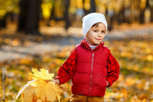 Cute  happy  white boy in red shirt smiling and playing with bouquet of yellow leaves. Little child having fun in autumn park. Concept of happy childhood  leaves fall