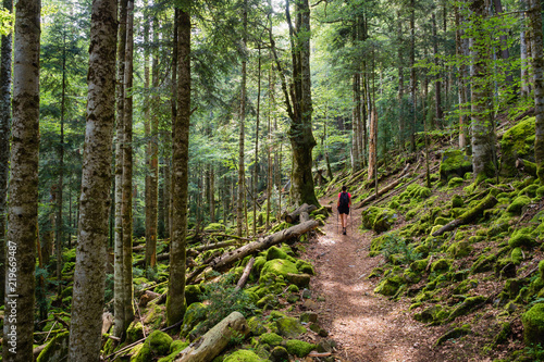 Ordesa National Park in Pyrinees spain, Path Walking through the trees