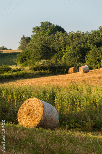 Bales of straw lying on the slopes of the hills at sunset. Summer. Italy.
