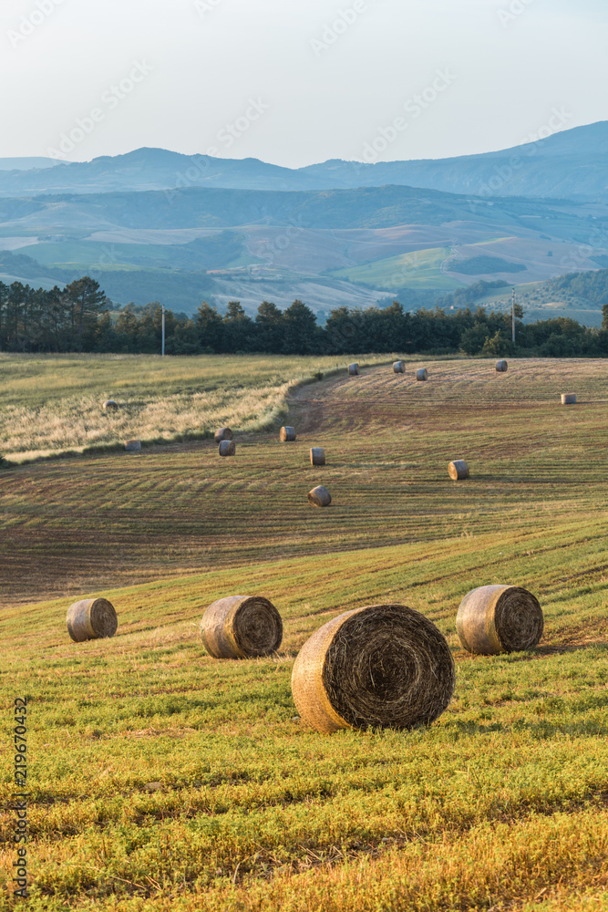 Bales of straw at sunset in Tuscany. Italy.