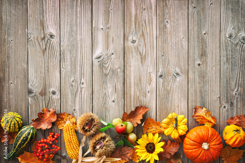 Fotografie Harvest or Thanksgiving background with autumnal leaves, fruits and gourds
