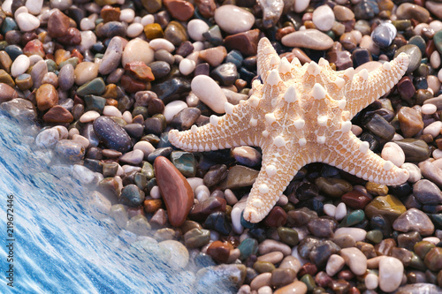 Sea star or starfish on pebbles beach, summer day. Vacation sea trip vacation.