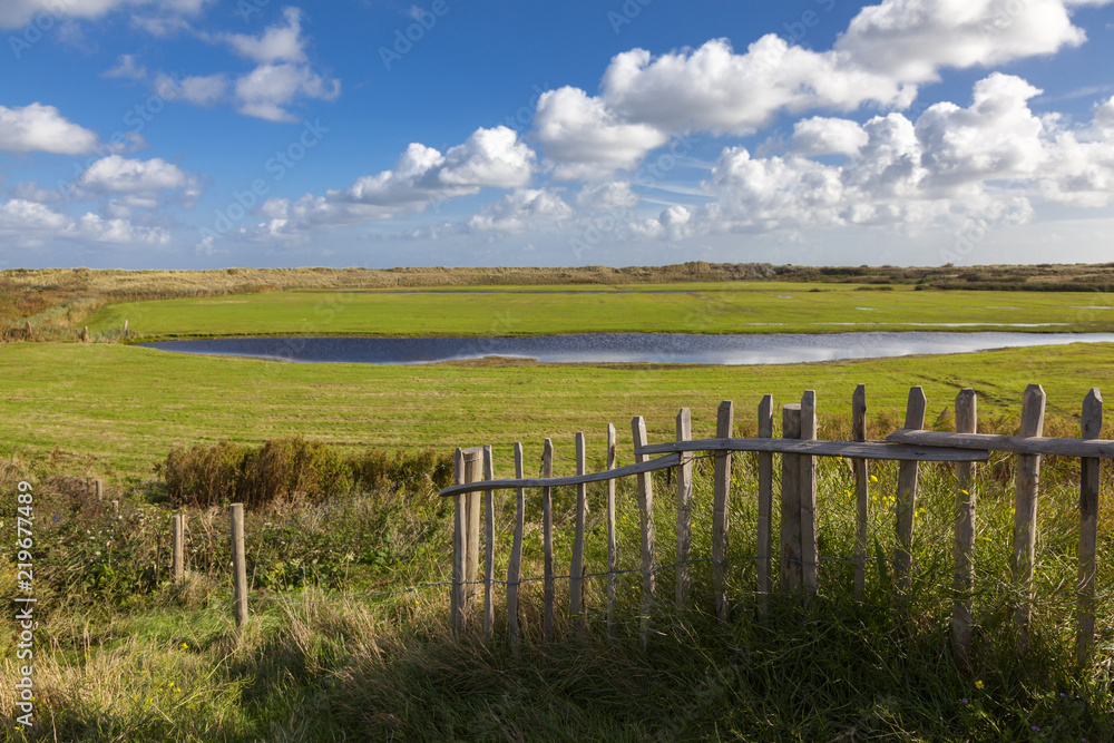 Fototapeta premium Landschaft auf Texel