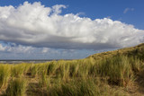 Dünen auf der Insel Texel