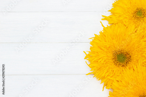 Fototapeta Naklejka Na Ścianę i Meble -  Yellow flowers of sunflower on white wooden board