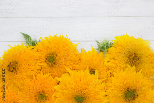 Fototapeta Naklejka Na Ścianę i Meble -  Yellow flowers of sunflower on white wooden board