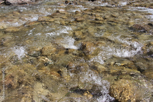 Clapotis de rivière transparente et cailloux