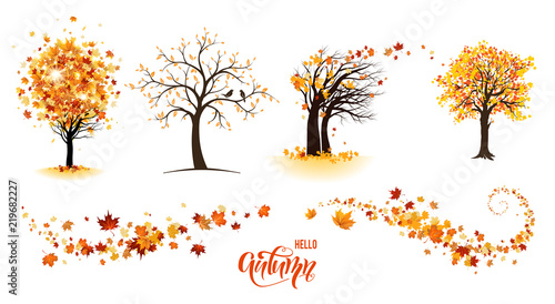 Trees and leaves