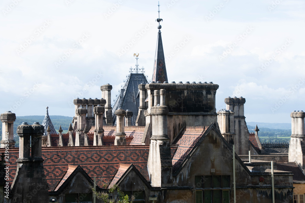 Victorian roof chimneys