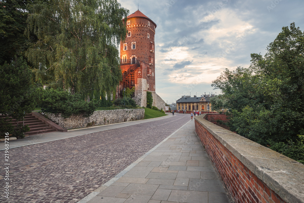 Krakow, Wawel Royal Castle, Poland Krakow, Wawel Royal Castle, Poland