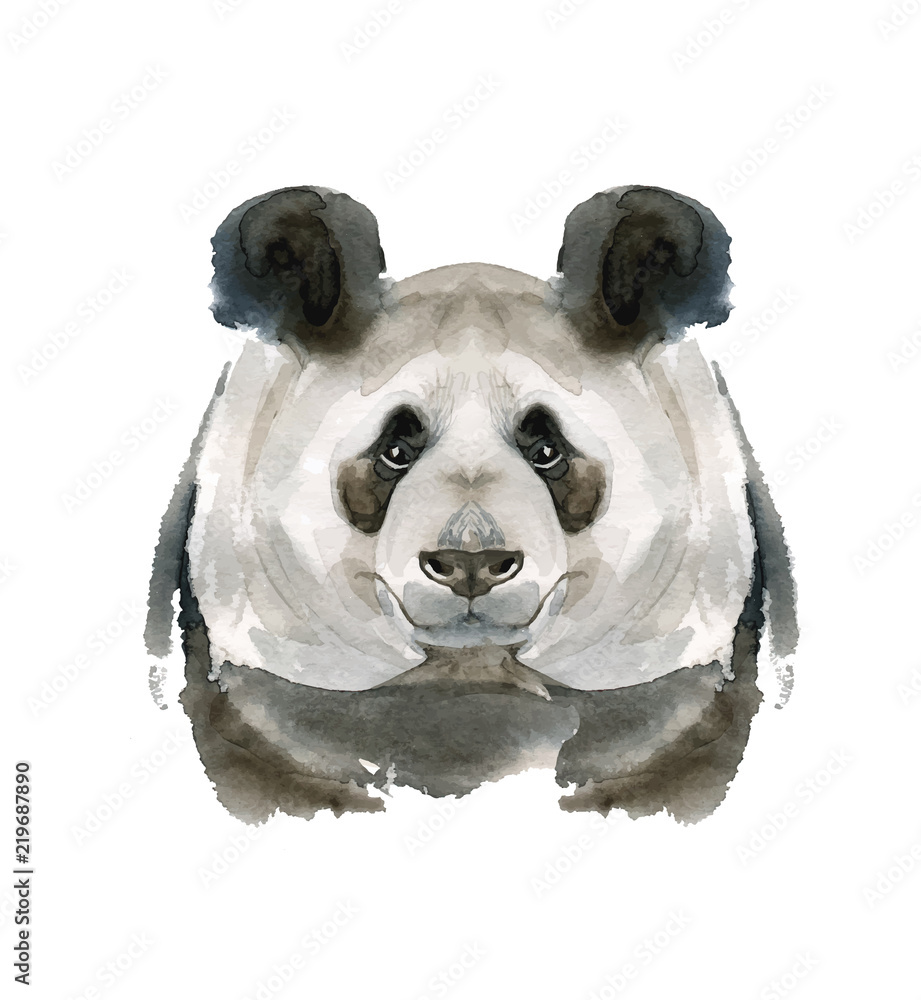 trono Desaparecido Bienes diversos Watercolor hand drawing portrait of a Panda. Cute attractive face bear  decoration forest vector illustration. vector de Stock | Adobe Stock
