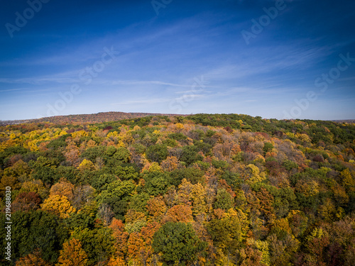 Aerial view over forest of vibrant autumn colors