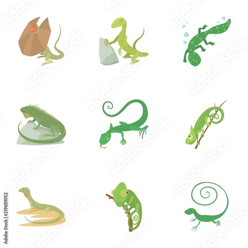 Lizard icons set. Cartoon set of 9 lizard vector icons for web isolated on white background