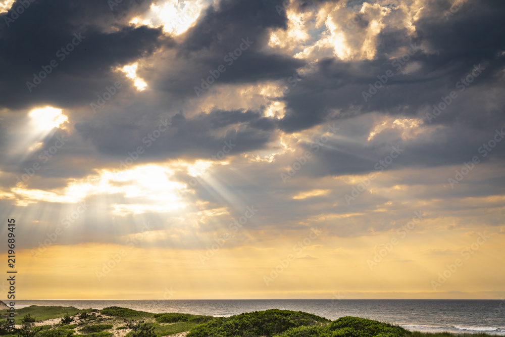 Fototapeta premium Amagansett