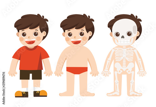 Illustration of  kid body anatomy. vector isolate