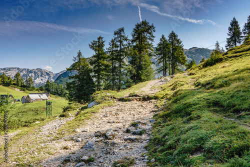 tauplitzalm photo