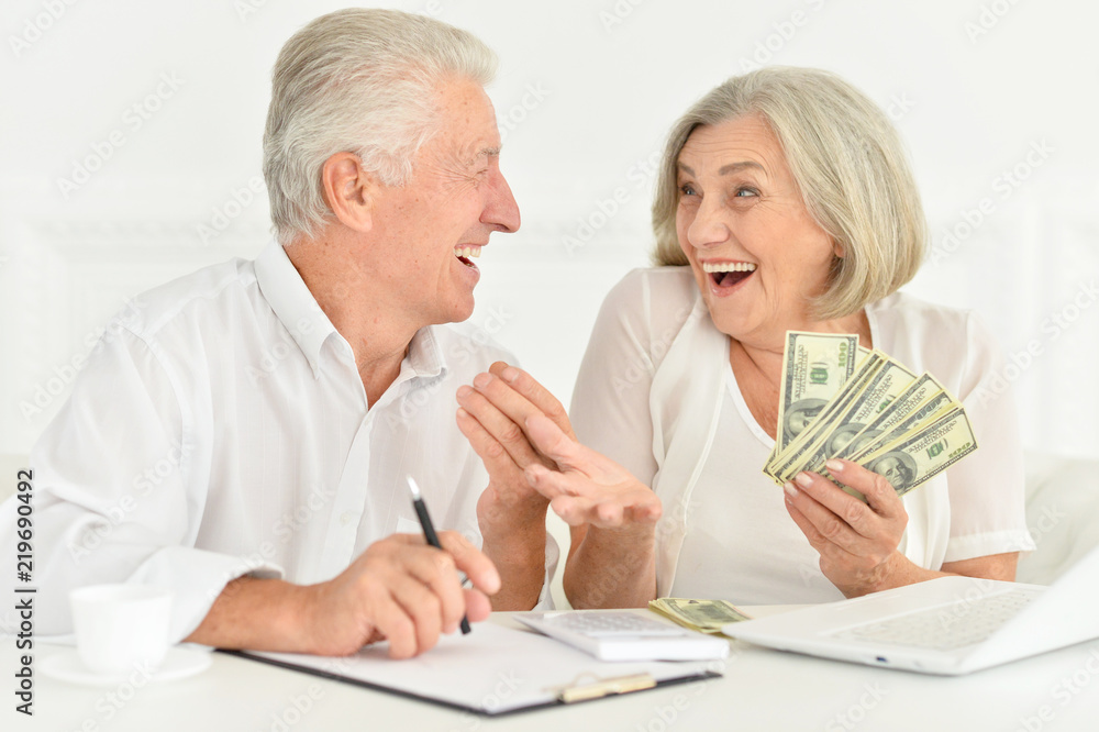 Portrait of a cute senior businesspeople working Portrait of a cute senior businesspeople working