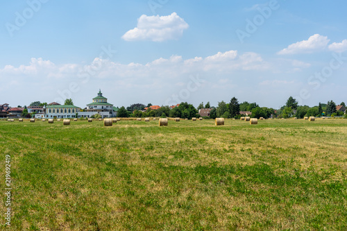 Rack of hay from the harvested cereal crop in the field.