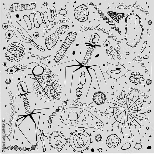 Virus hand-drawn image
