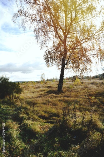 Herbst Landschaft - Stimmun...