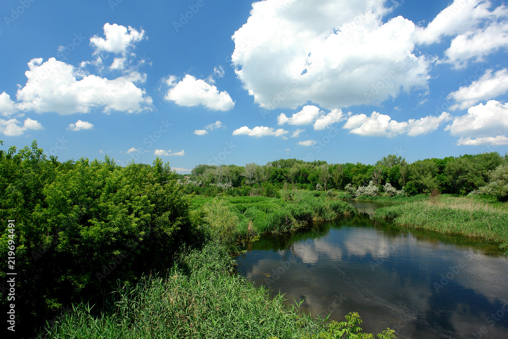 Summer river Summer river