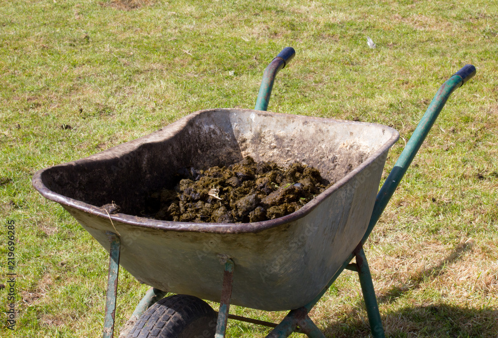 Wheelbarrow full of horse manure Wheelbarrow full of horse manure