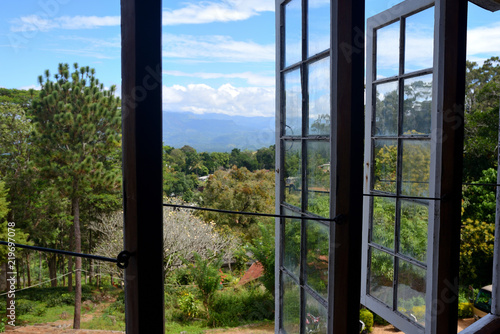 view from the window of a tea plant on the mountains, sri lanka