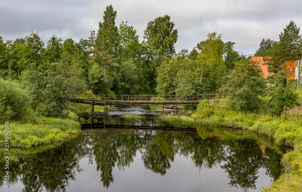 Summer morning on the banks of the river mga in the Leningrad region.